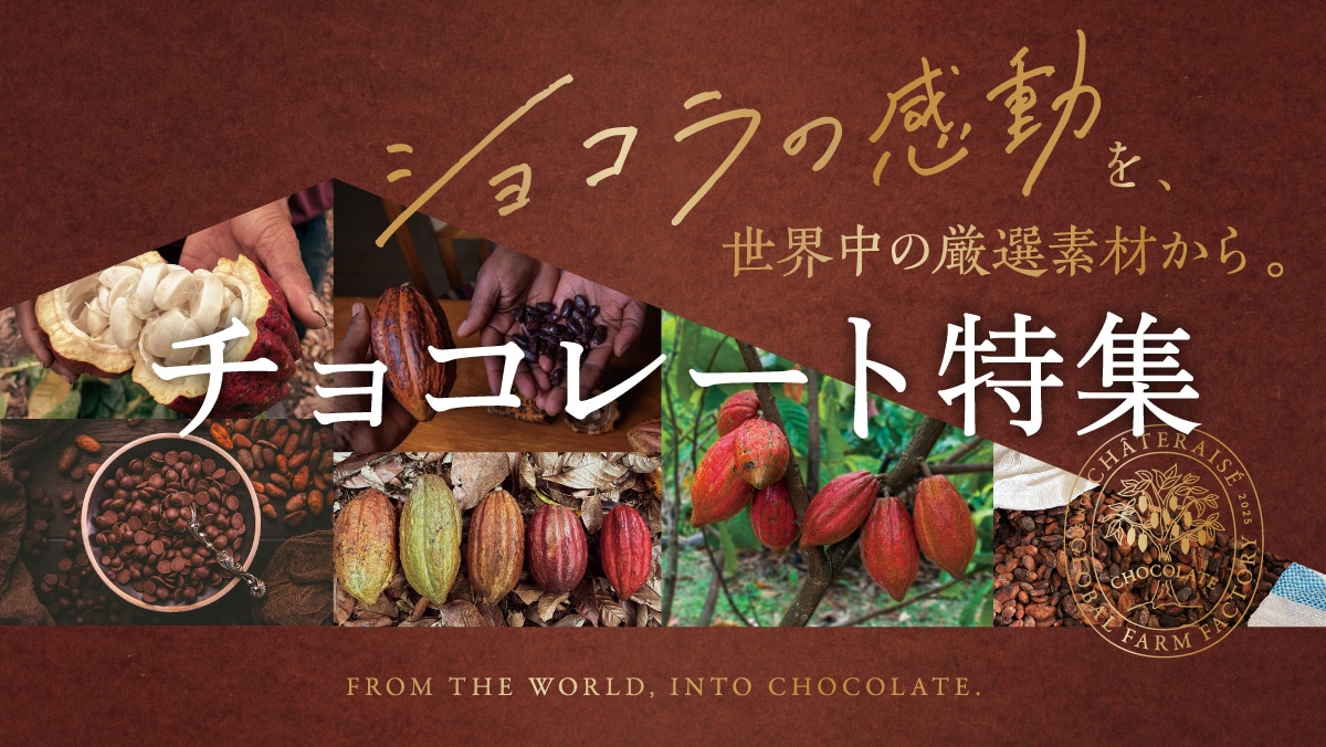 取扱店舗限定チョコレート特集