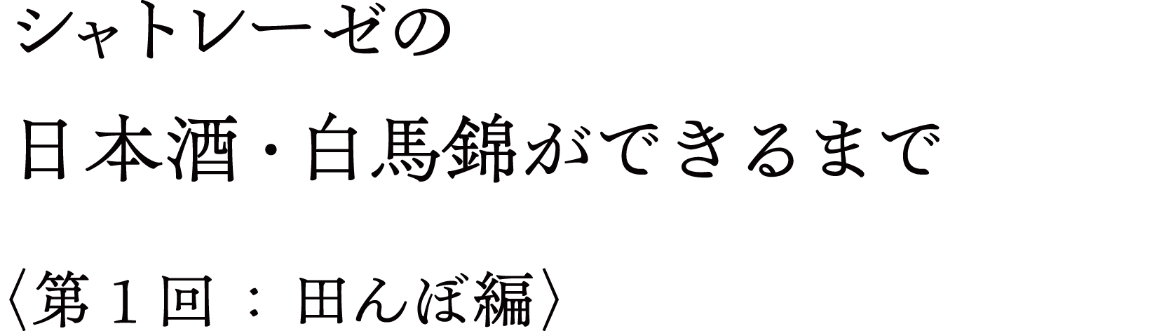 シャトレーゼの日本酒・白馬錦ができるまで〈第1回：田んぼ編〉