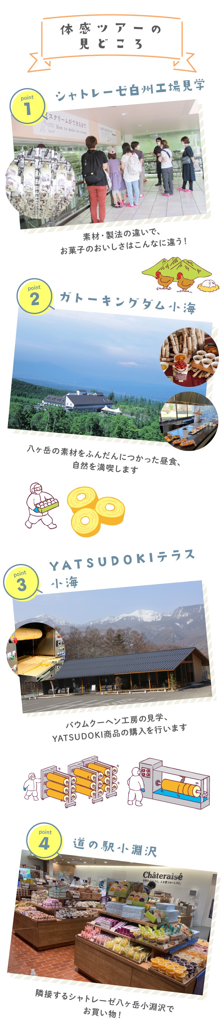 体感ツアーのポイント