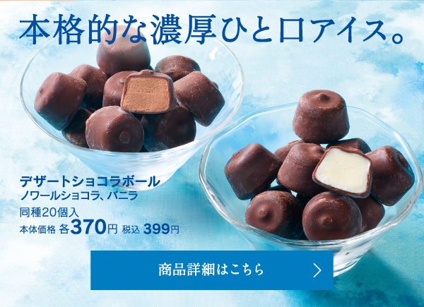 デザートショコラボール ノワールショコラ、バニラ 同種20個入本体価格各370円税込399円