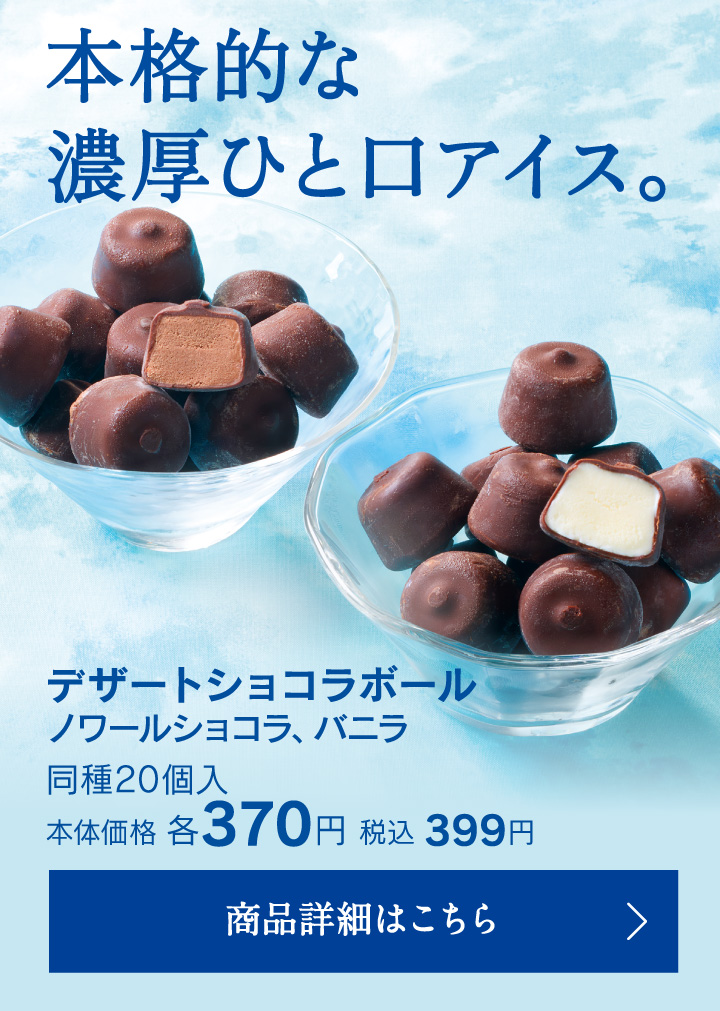 デザートショコラボール ノワールショコラ、バニラ 同種20個入本体価格各370円税込399円