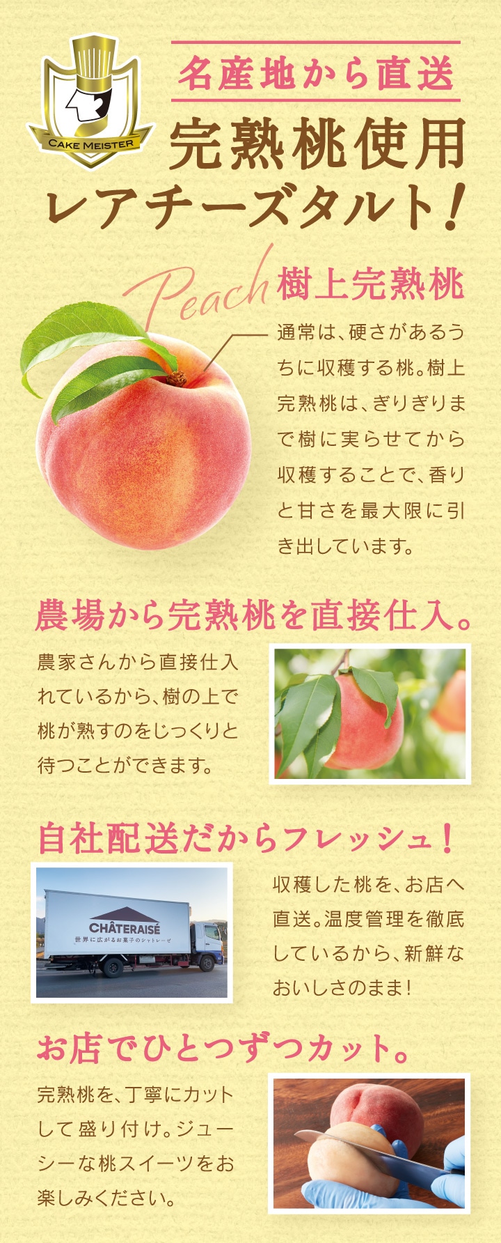 名産地から直送！完熟桃使用レアチーズタルト！