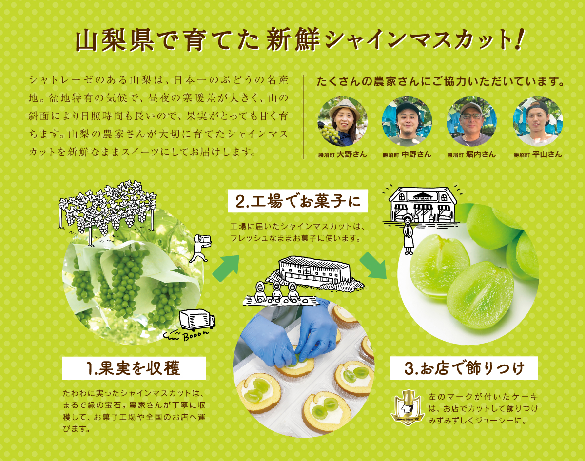 山梨県で育てた新鮮シャインマスカット！