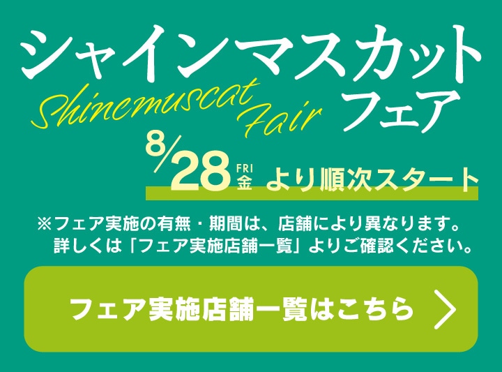 フェア実施店舗一覧へのリンクボタン
