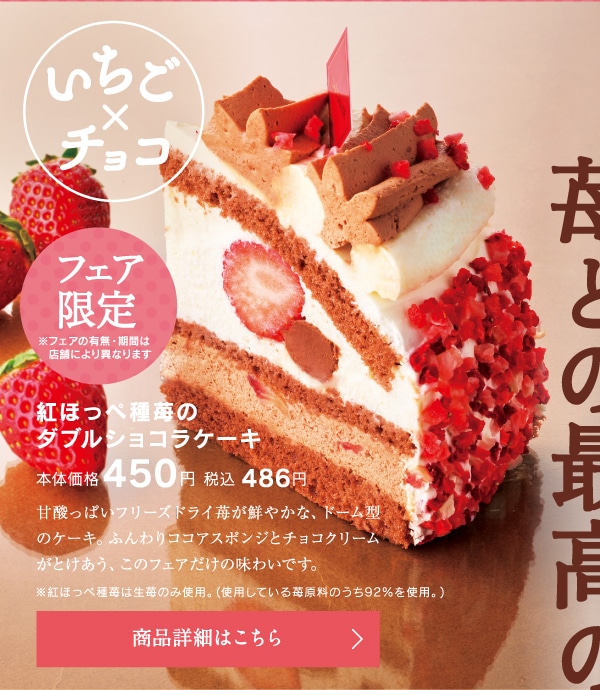 紅ほっぺ種苺のダブルショコラケーキ本体価格450円税込486円