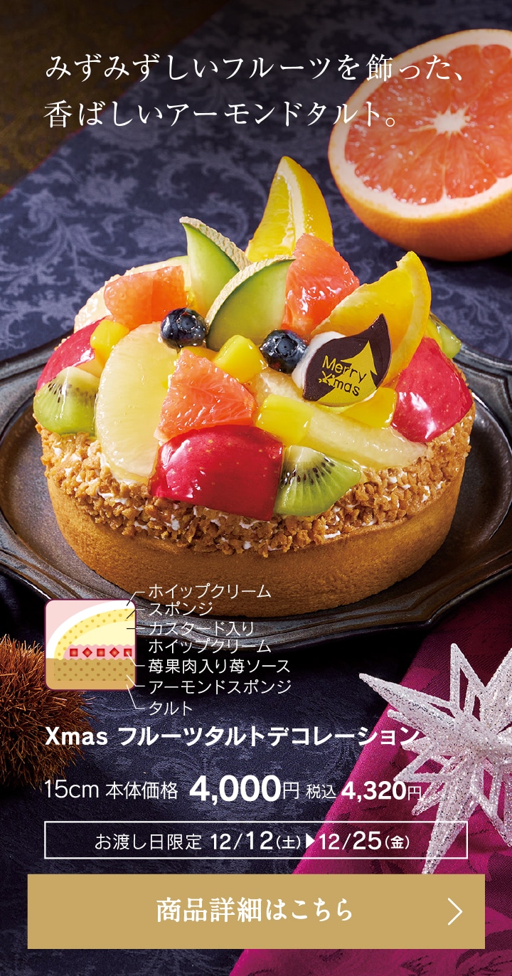 Xmasフルーツタルトデコレーション15cm