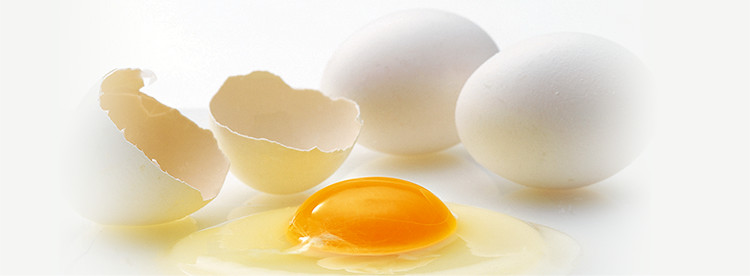 画像：うみたて卵