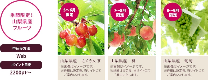 季節限定!山梨県産フルーツ 申込み方法 詳細は決定後、当サイトにてご案内いたします。