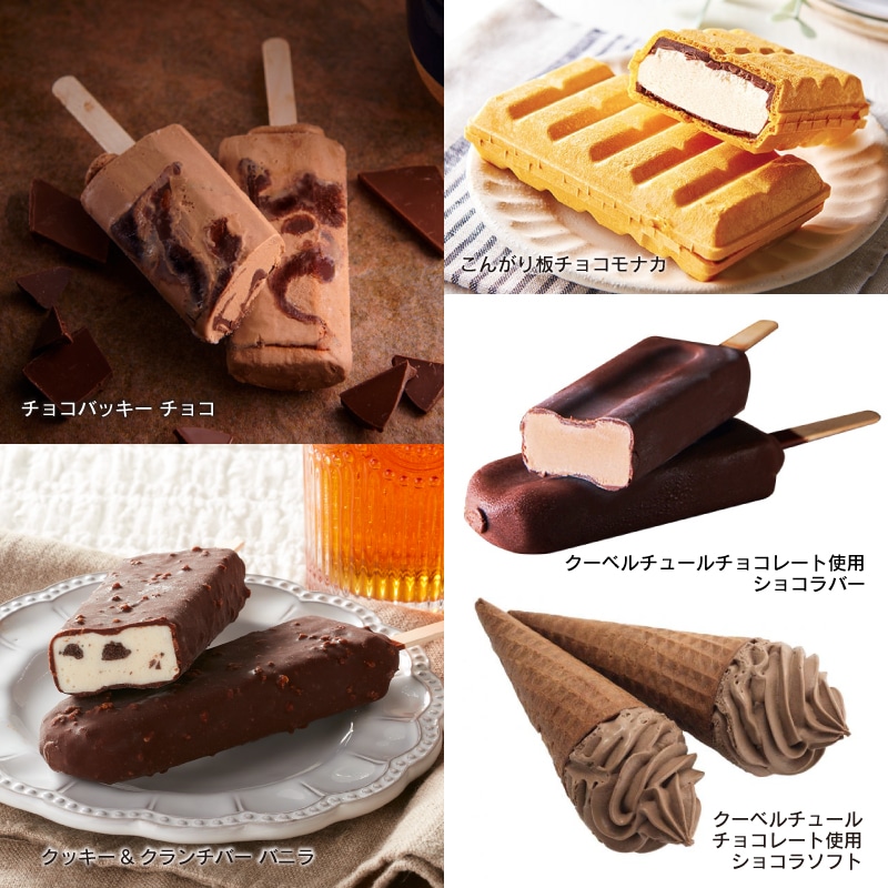 【通販】チョコアイスバラエティ5種32個入セット