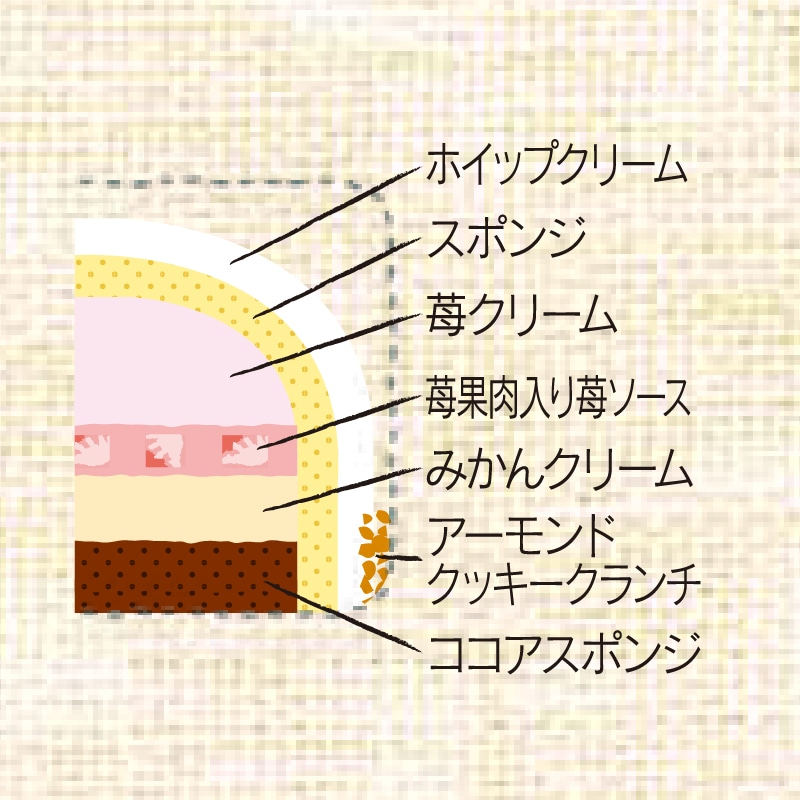 苺のフルーツボンブケーキ