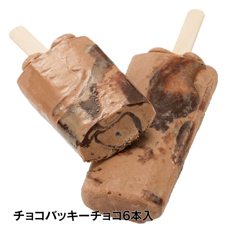 【通販】チョコアイスバラエティセット6種45個入 ドライアイス付き (送料込み) チョコ