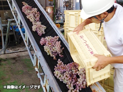 数量限定ワイン】2022年甲州(白)750ml: ポイント特典｜シャトレーゼ