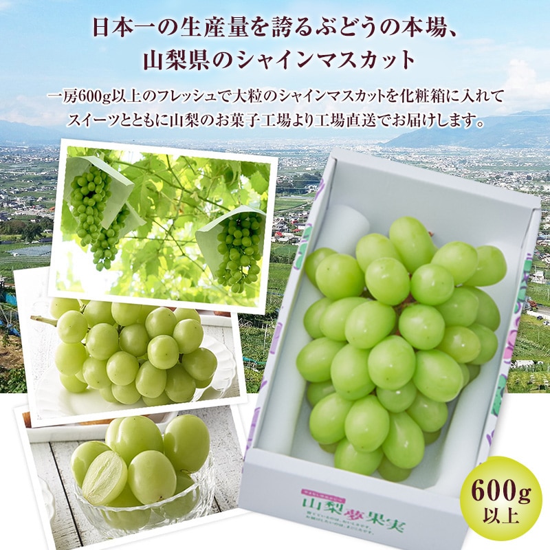 絶対にお買い得!9/3(火)以降発送!山梨県産 シャインマスカット 絶対にお買い得!9/3(火)以降発送!山梨県産 シャインマスカット