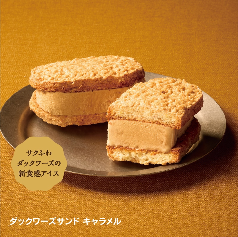 【通販】冬に食べたい!濃厚アイスアソートセット (送料込み)