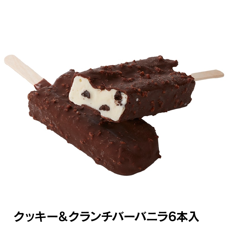 【通販】チョコアイスバラエティセット6種45個入 ドライアイス付き (送料込み) チョコ