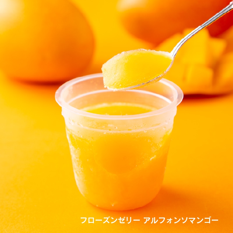 【通販】フローズンゼリー3種12個入詰合せ 【通販】詰合せ