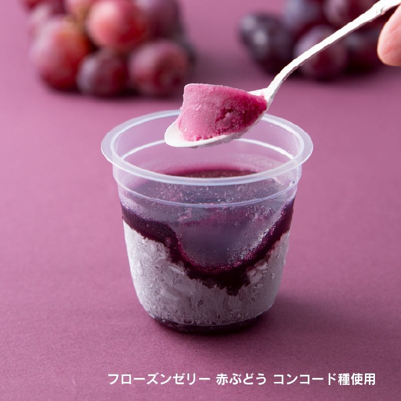 【通販】フローズンゼリー3種12個入詰合せ 【通販】詰合せ