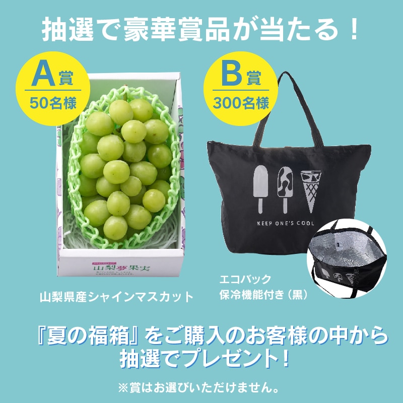 通販】8月夏の福箱 チルドセット 14種25個入(送料込み) わさビーズ30個セット