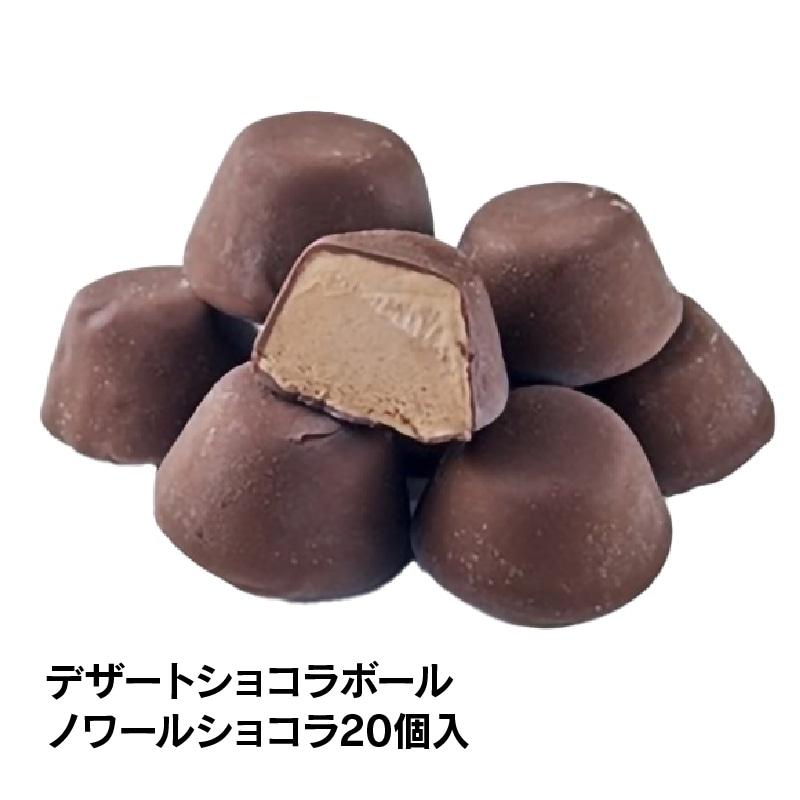 【通販】チョコアイスバラエティセット6種45個入 ドライアイス付き (送料込み) チョコ