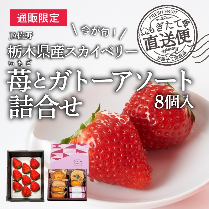 ガトーアソート8個入