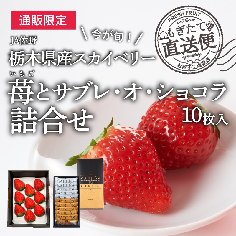 サブレ・オ・ショコラ10枚入