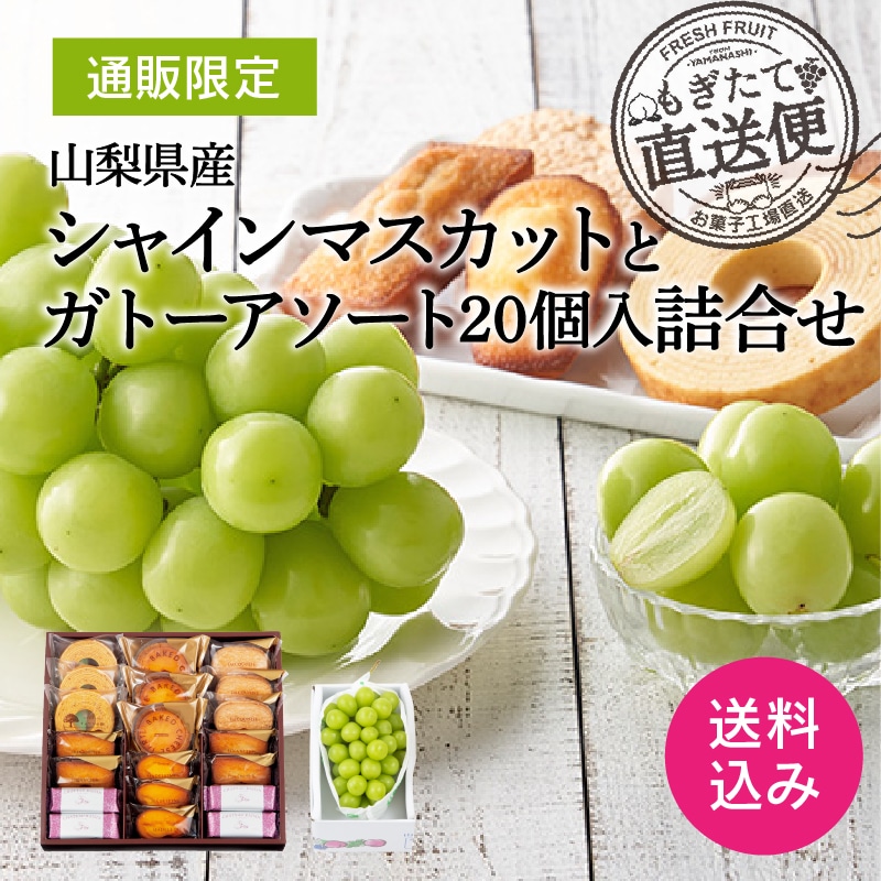 20個入