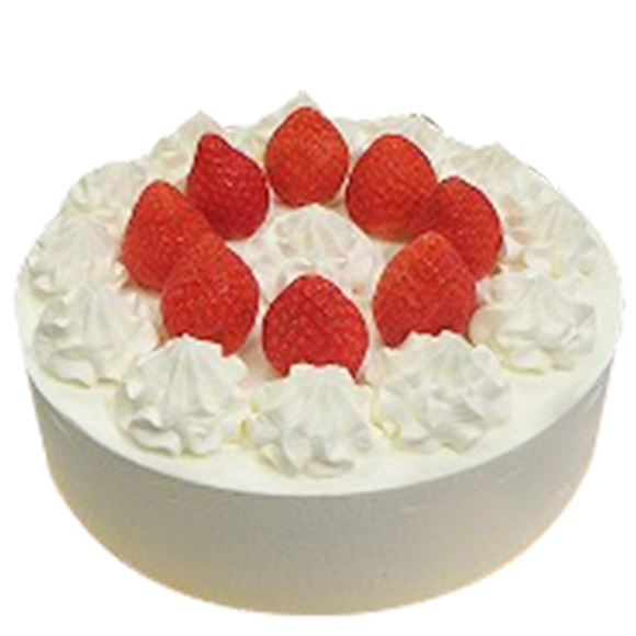 ショートデコレーション20cm