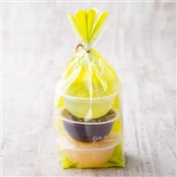 フルーツのジュレ3個入 (シャインマスカット･巨峰･グレープフルーツ)