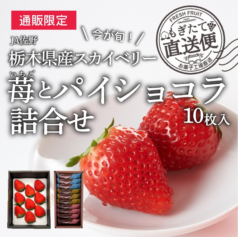 【通販限定】旬の苺とパイショコラ10枚入詰合せ　(送料込み)