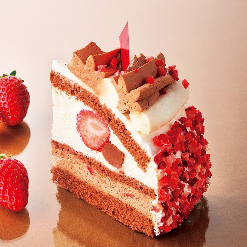 紅ほっぺ種苺のダブルショコラケーキ