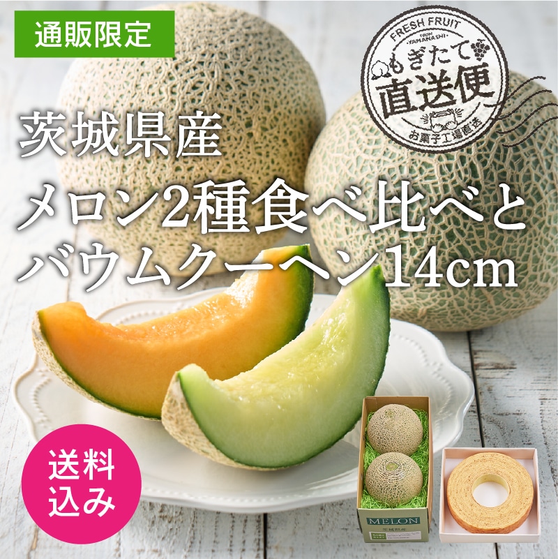 【通販】茨城県産メロン2種食べ比べとバウムクーヘン14cm(送料込み)