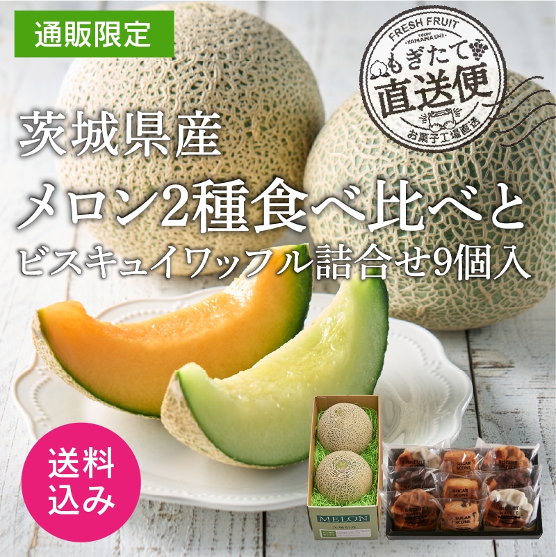 【通販】茨城県産メロン2種食べ比べとビスキュイワッフル詰合せ9個入(送料込み)