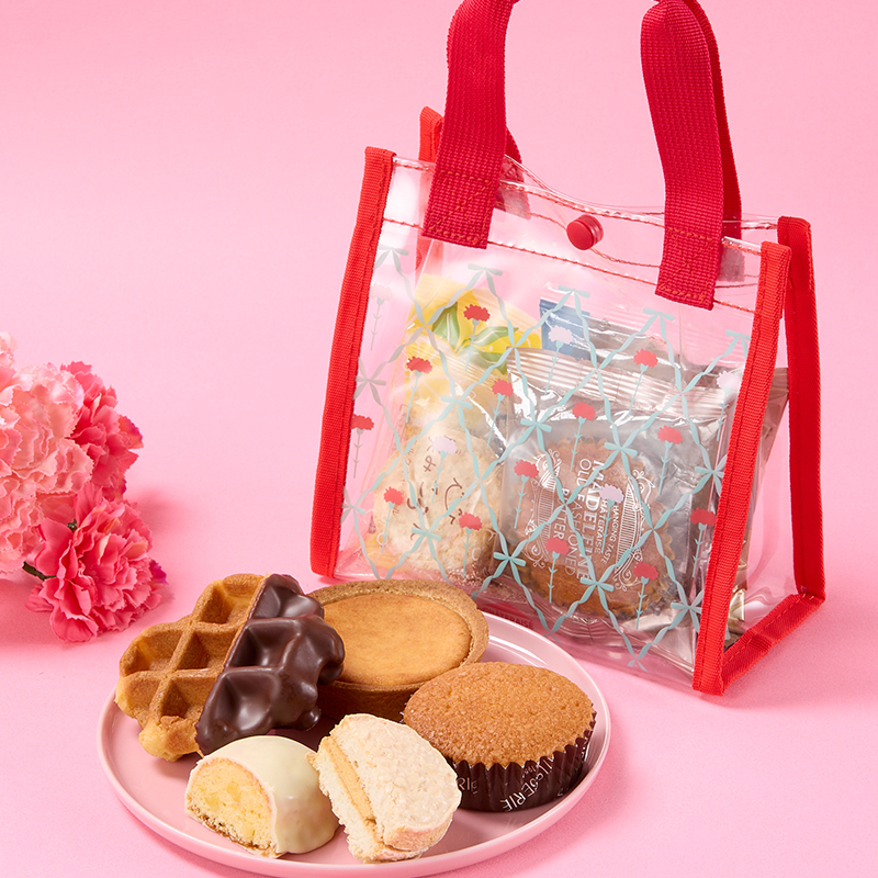 母の日スイーツバッグ（カーネーション）