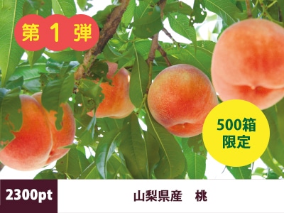 【先着500箱限定】山梨県産桃