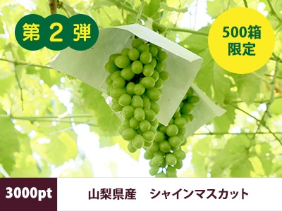 【先着500箱限定】山梨県産シャインマスカット