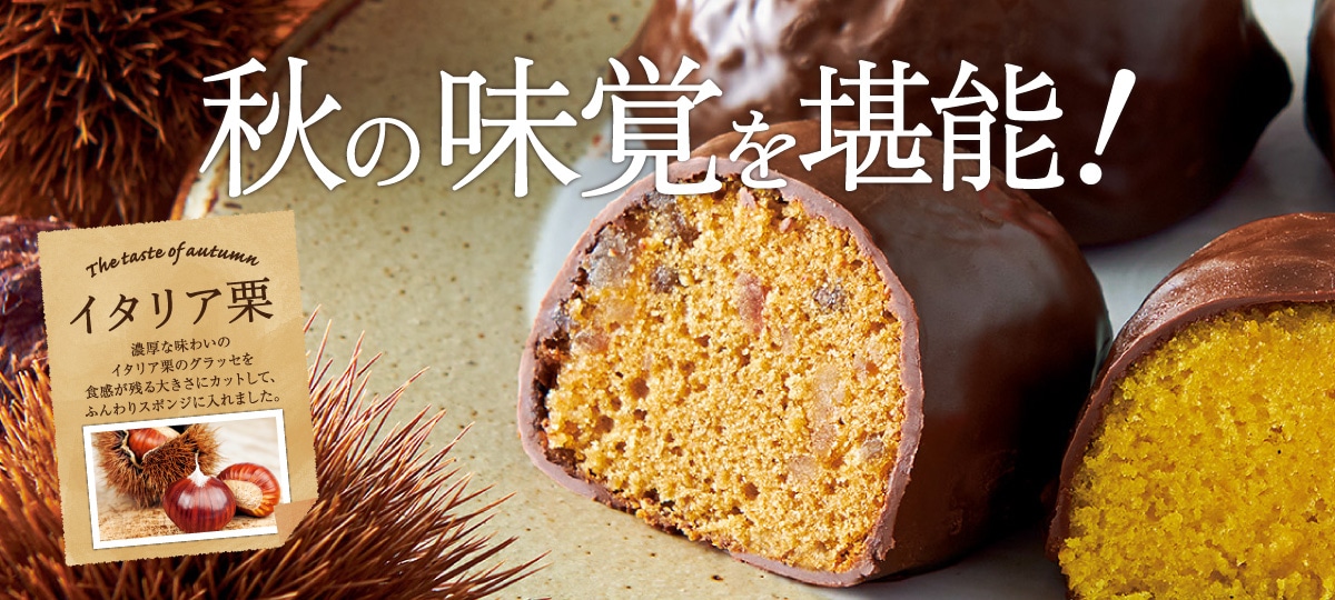 ショコラケーキイタリア栗