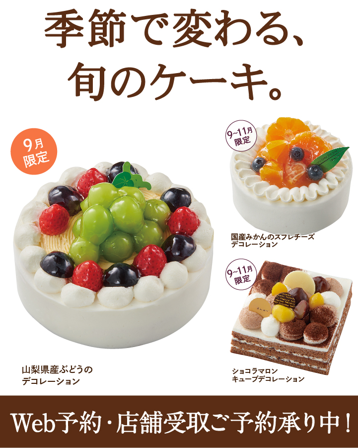 deco shop様 ご確認ページ ちぢま