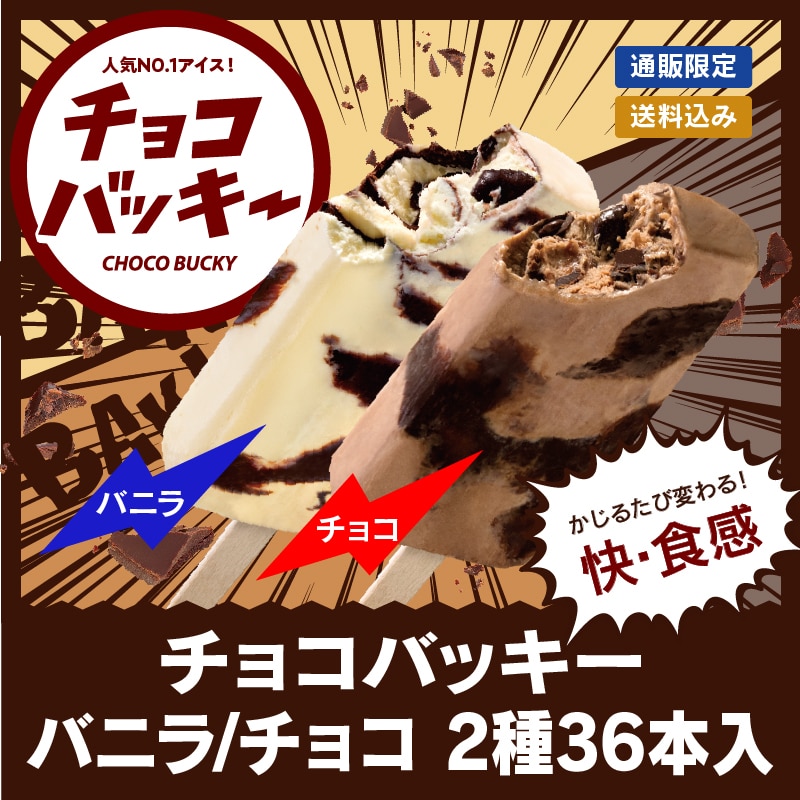 【通販】チョコバッキー バニラ&チョコ 2種36本入 (送料込み)(ドライアイス付き)